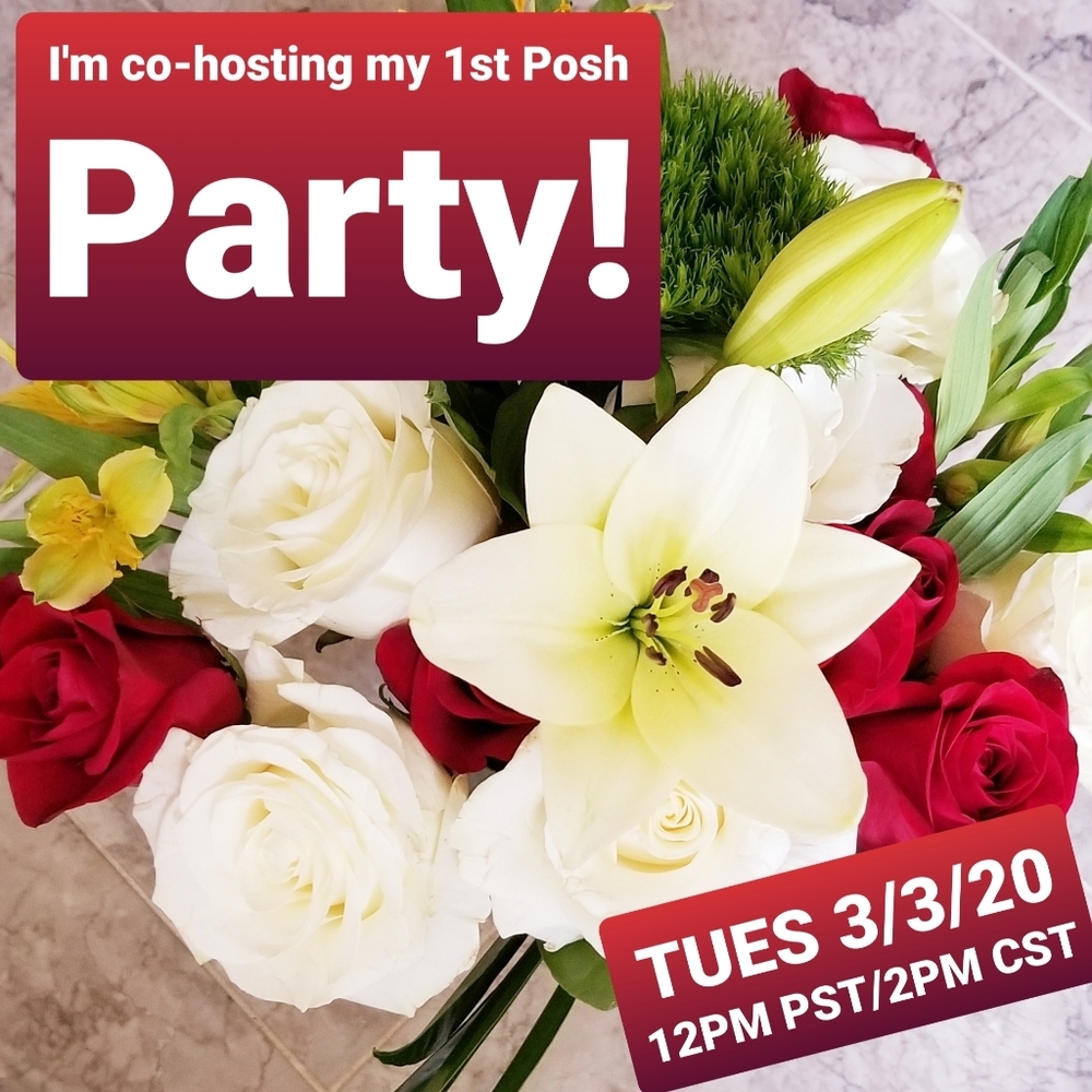 I'M CO-HOSTING MY 1ST POSH PARTY!👕Best in Tops!👚